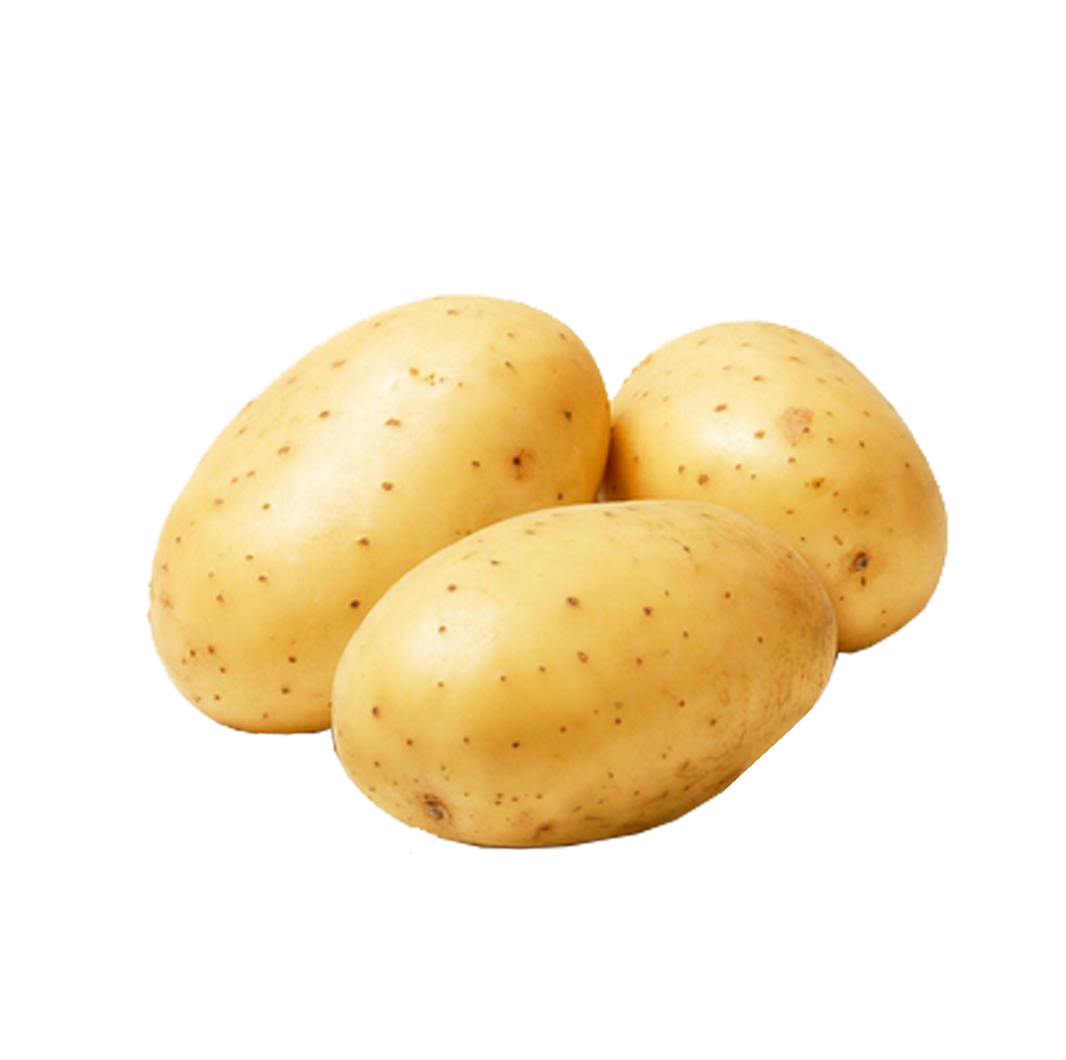 Potato